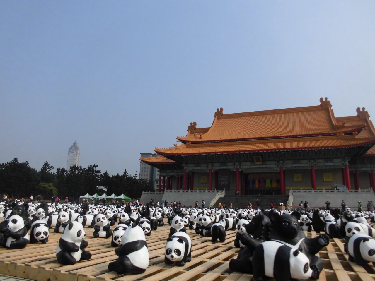 photo21