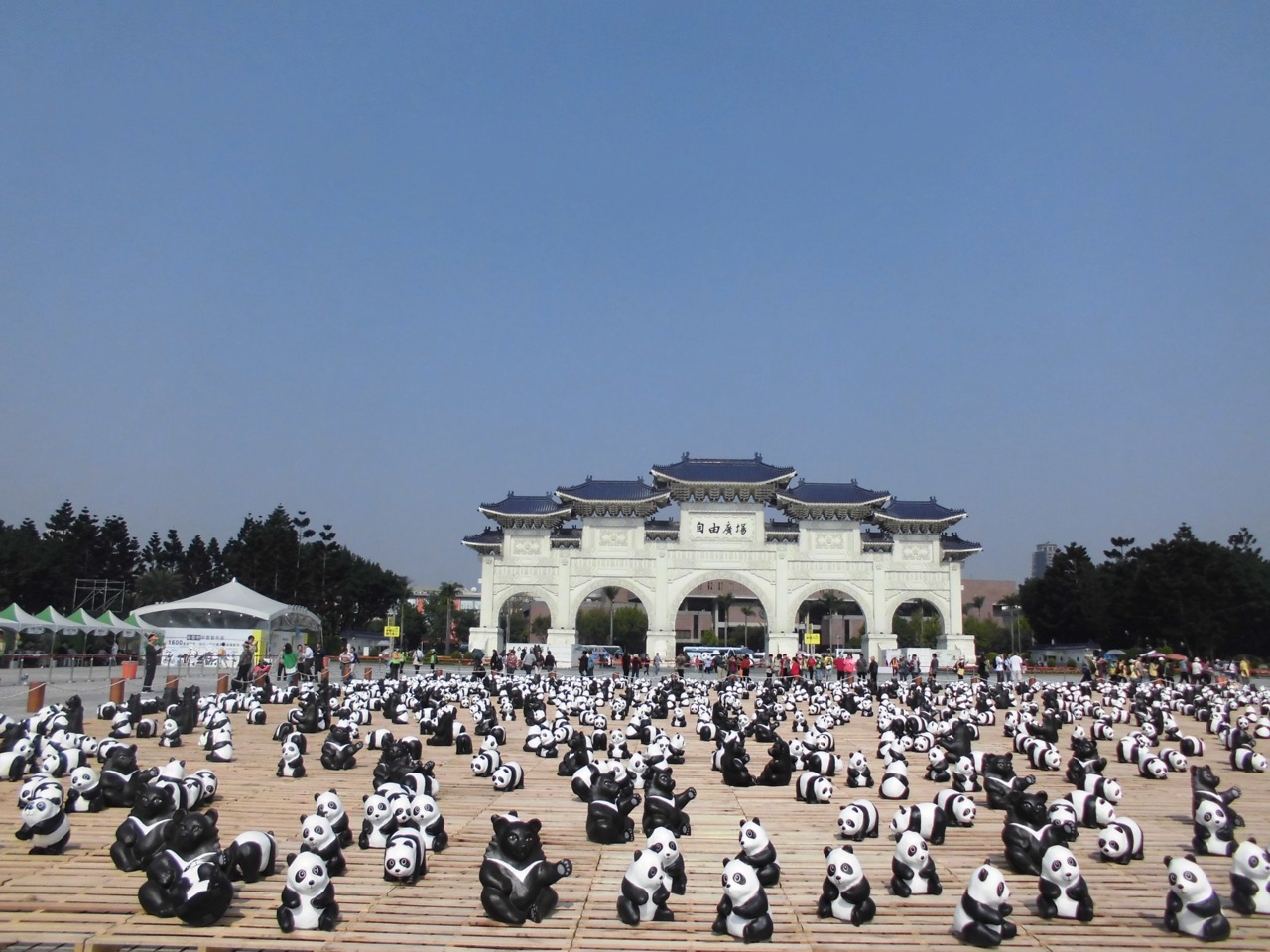Amigo panda -6