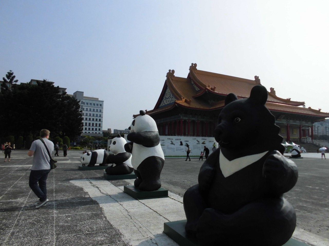 photo35