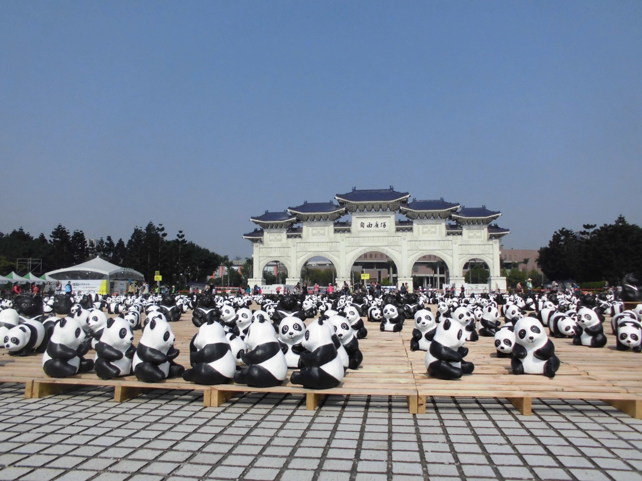 Amigo panda -7