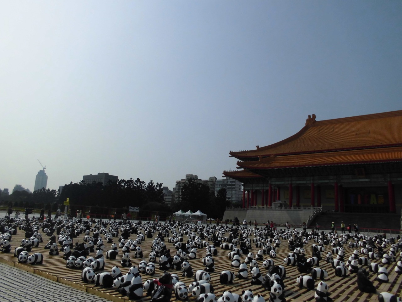 photo25