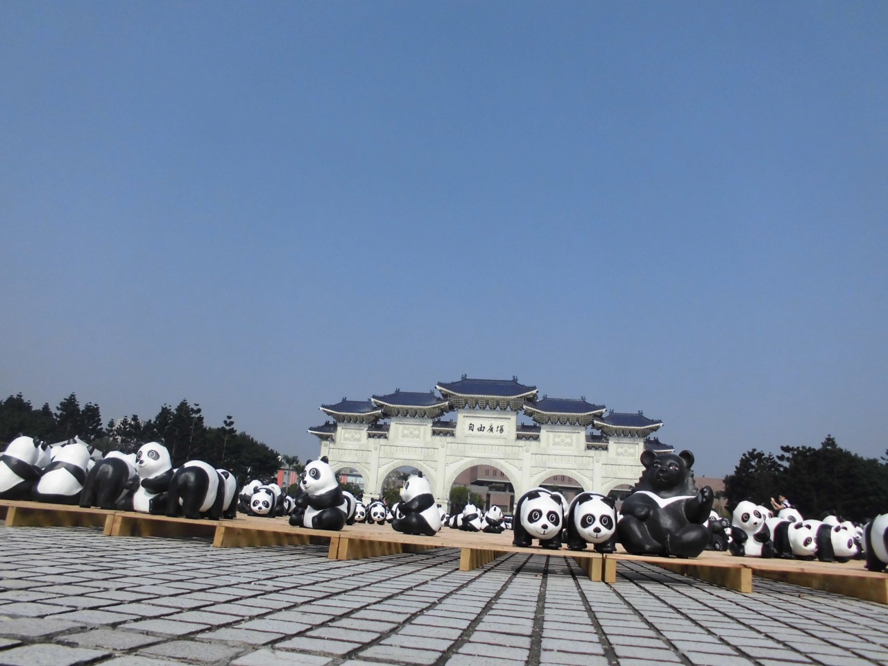 el paraíso de los pandas