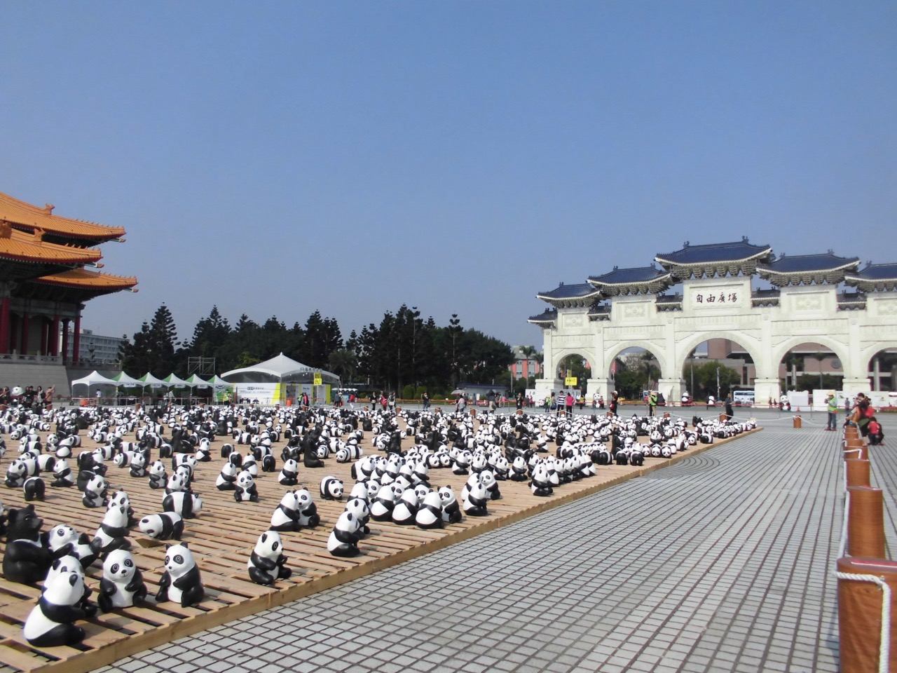 photo21